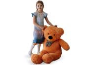 100 астор рыж