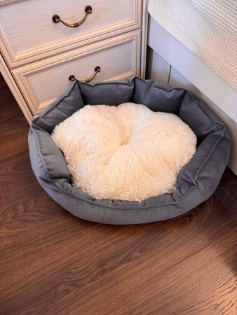 photo_2025-03-26_12-17-43